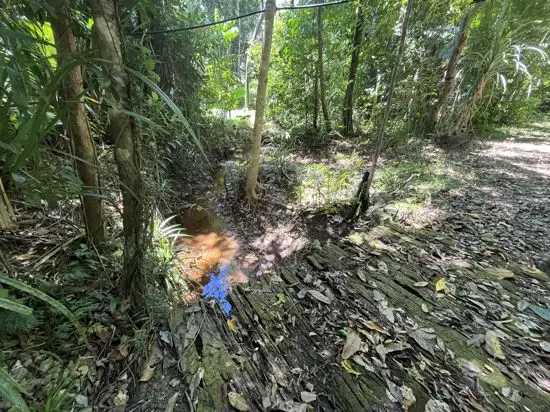 Second view of Homely house listing, 507 Dinner Creek, Eubenangee QLD 4860