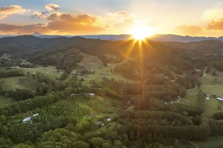 253 Palmvale Road, Palmvale NSW 2484