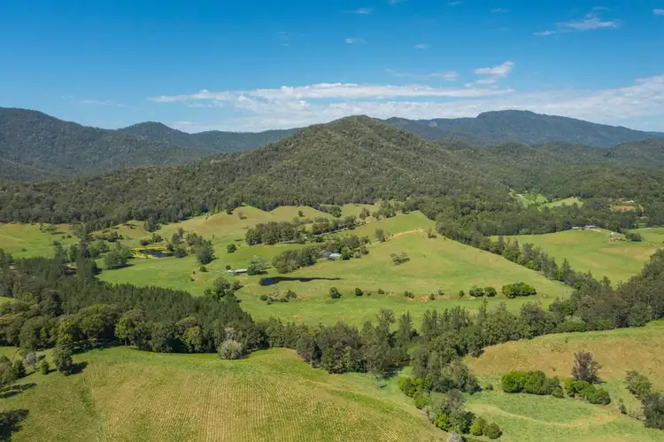 Fifth view of Homely rural property listing, 1562-1620 NORTH ARM ROAD, Argents Hill NSW 2449