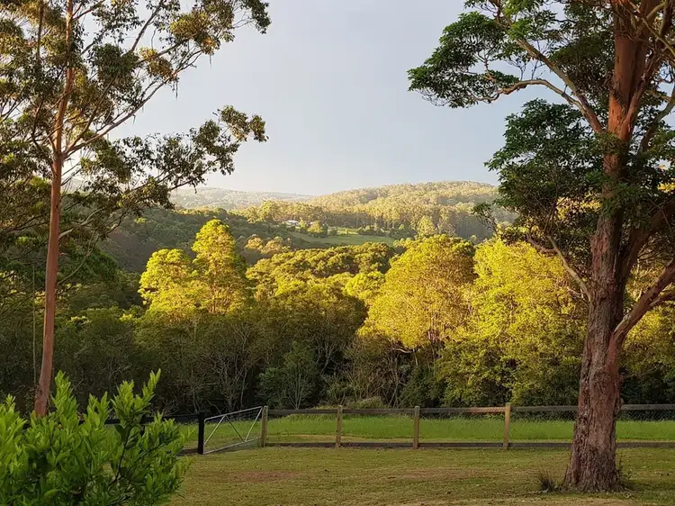 Second view of Homely rural property listing, 1566 Colling Rd, Elands NSW 2429