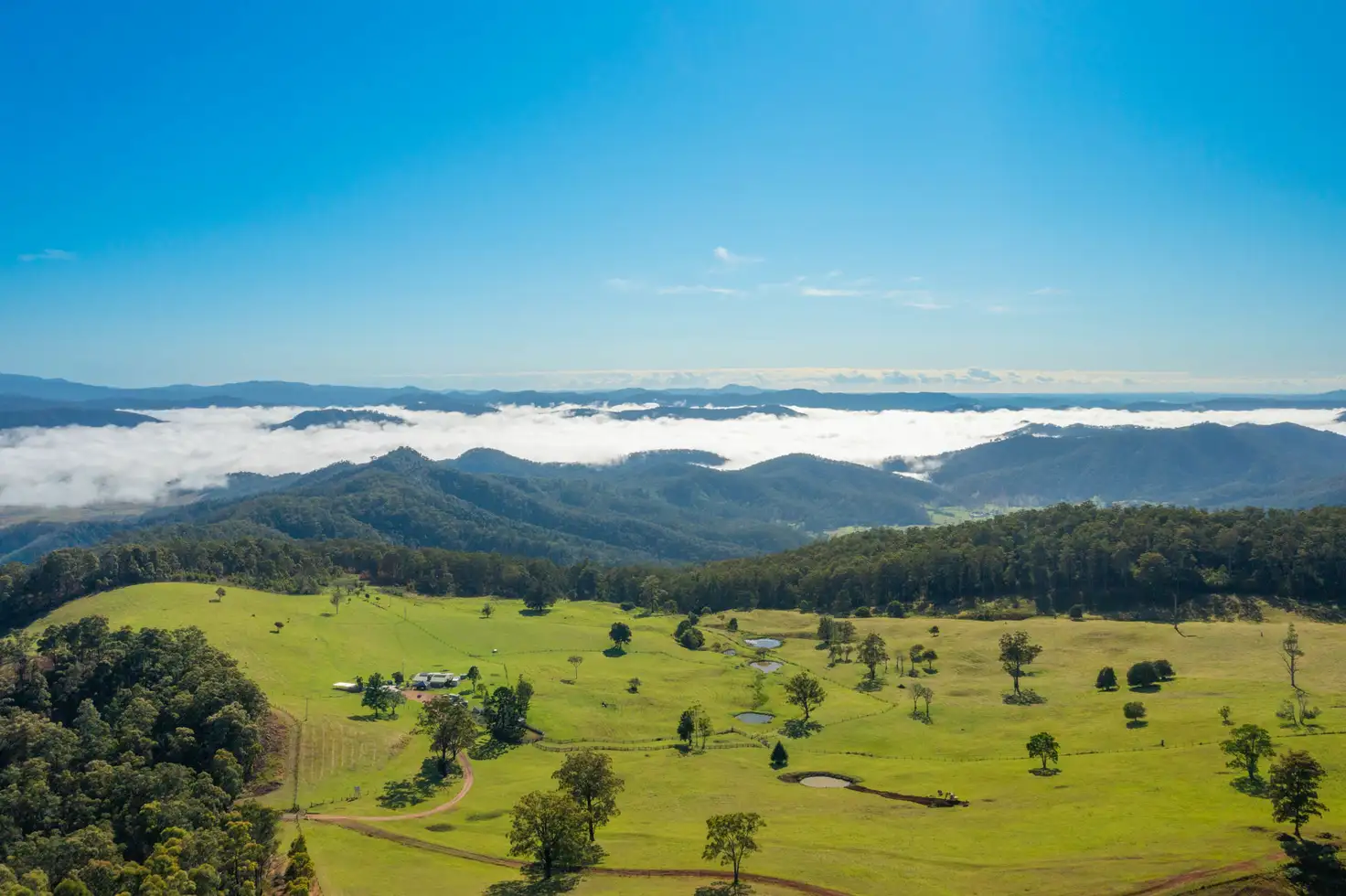 Main view of Homely rural property listing, 669 Costigans Road, Yarras NSW 2446