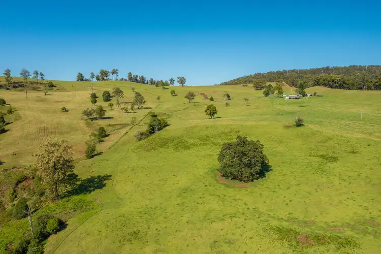Third view of Homely rural property listing, 669 Costigans Road, Yarras NSW 2446