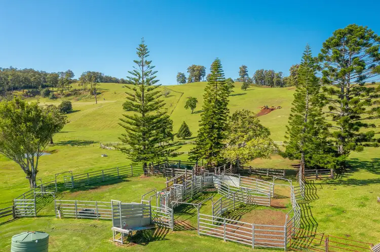 Third view of Homely rural property listing, 669 Costigans Road, Yarras NSW 2446