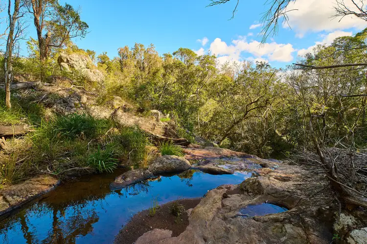 Fourth view of Homely rural property listing, 669 Costigans Road, Yarras NSW 2446