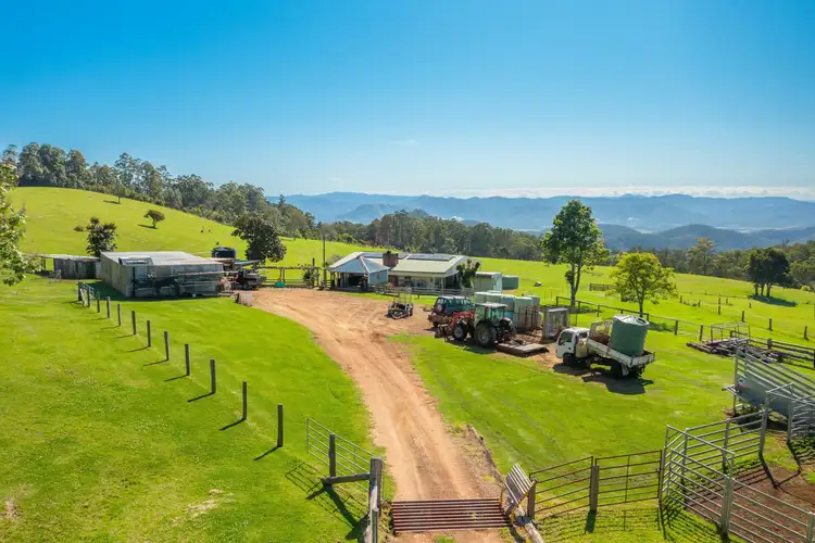 Fifth view of Homely rural property listing, 669 Costigans Road, Yarras NSW 2446