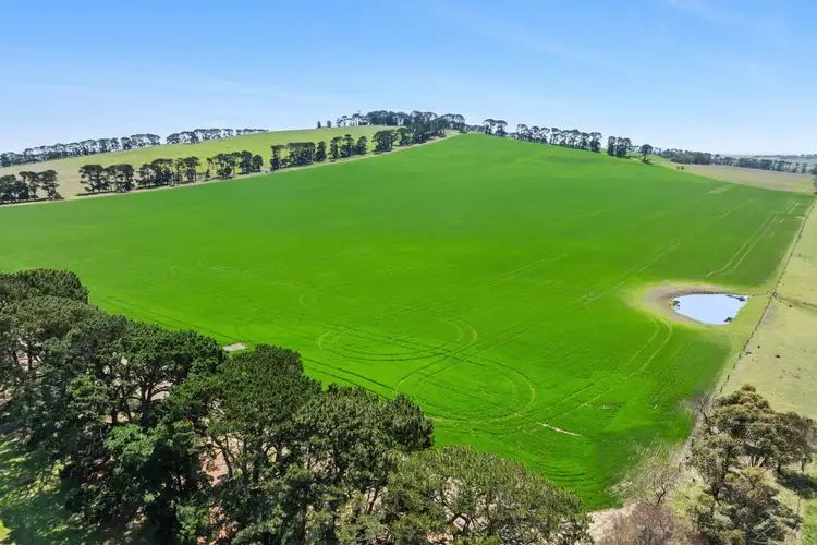Sixth view of Homely rural property listing, 1200 Princes Highway, Mount Moriac VIC 3240