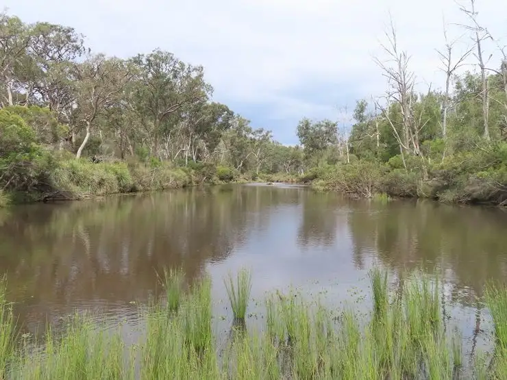 Main view of Homely rural property listing, 1001 Bents Road, Ballandean QLD 4382