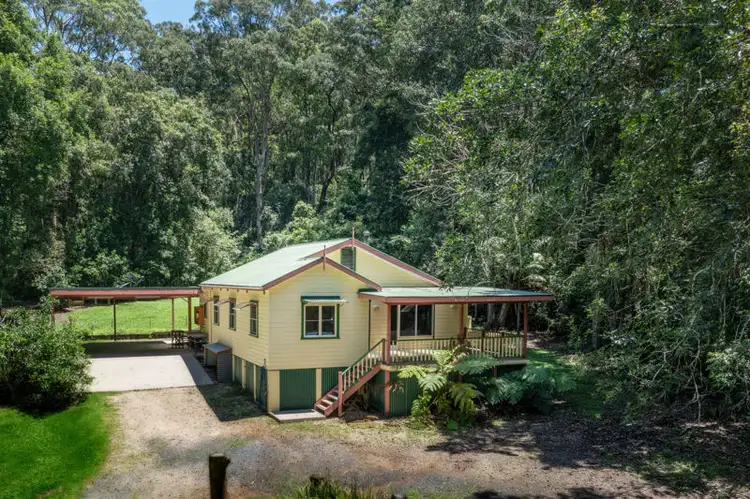 34 Tree Fern Close, Repton NSW 2454