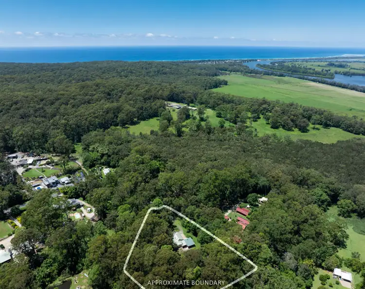 Second view of Homely house listing, 34 Tree Fern Close, Repton NSW 2454