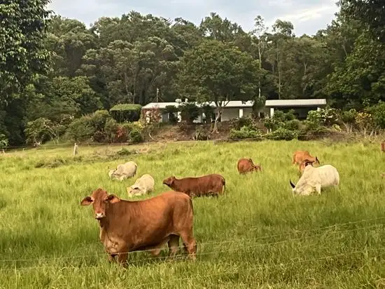 Third view of Homely house listing, 5 Dobbin Road, Warrubullen QLD 4871