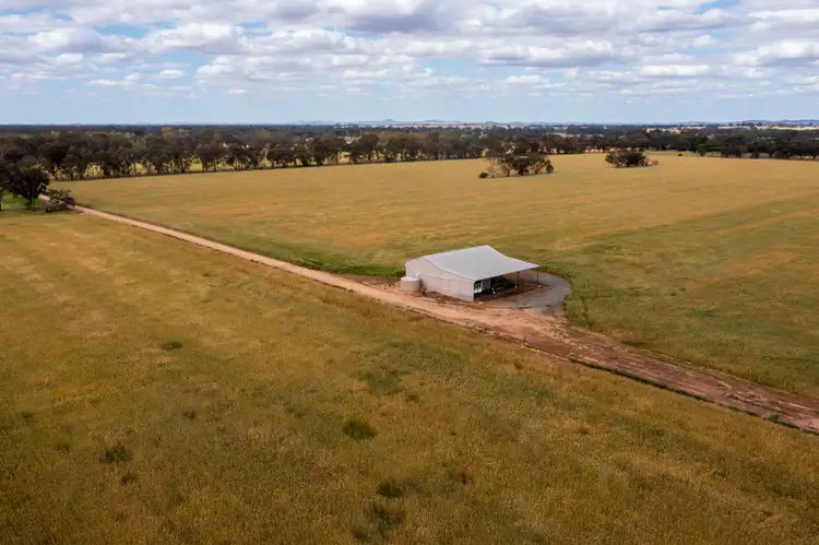 Main view of Homely rural property listing, 99 Walla Cemetery Lane, Walla Walla NSW 2659