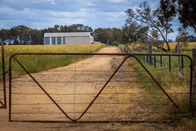 Second view of Homely rural property listing, 99 Walla Cemetery Lane, Walla Walla NSW 2659