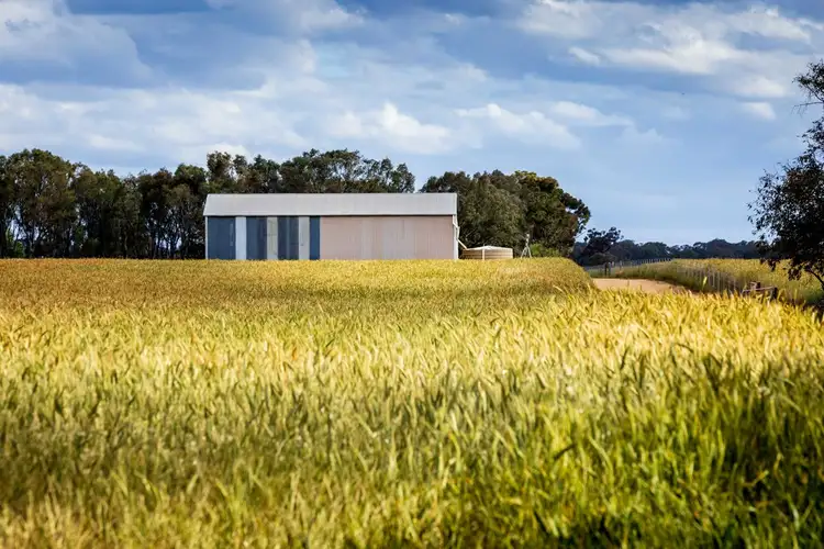 Fourth view of Homely rural property listing, 99 Walla Cemetery Lane, Walla Walla NSW 2659
