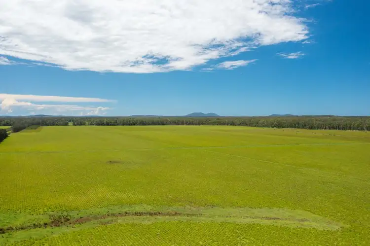 Fifth view of Homely rural property listing, 1205 Maria River Road, Limeburners Creek NSW 2444