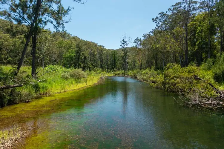 Second view of Homely rural property listing, 310 Yessabah Road, Yessabah NSW 2440