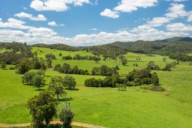 Fourth view of Homely rural property listing, 310 Yessabah Road, Yessabah NSW 2440