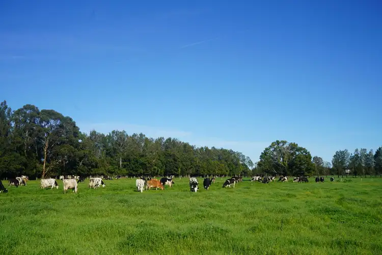 Third view of Homely rural property listing, 282 Newtons Road, Dumaresq Island NSW 2430