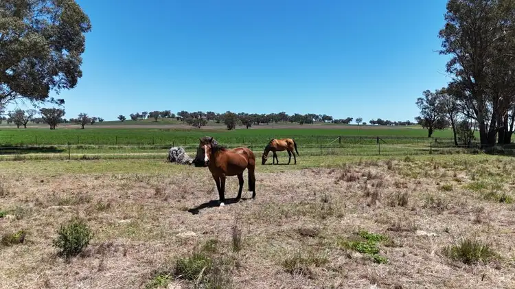 Second view of Homely land listing, 69-71 SOUTH STREET, Ulamambri NSW 2357