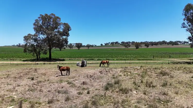 Sixth view of Homely land listing, 69-71 SOUTH STREET, Ulamambri NSW 2357