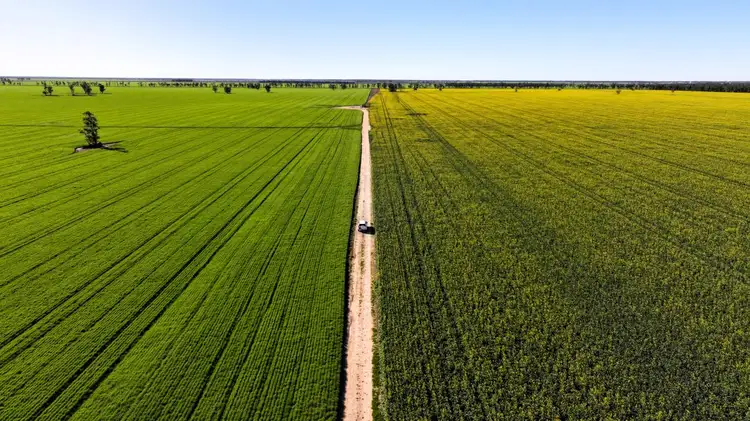 Main view of Homely rural property listing, Terlings, Moree NSW 2400