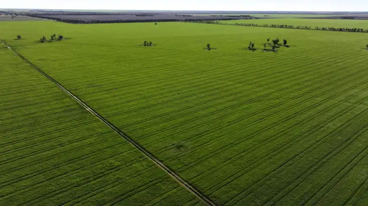 Third view of Homely rural property listing, Terlings, Moree NSW 2400