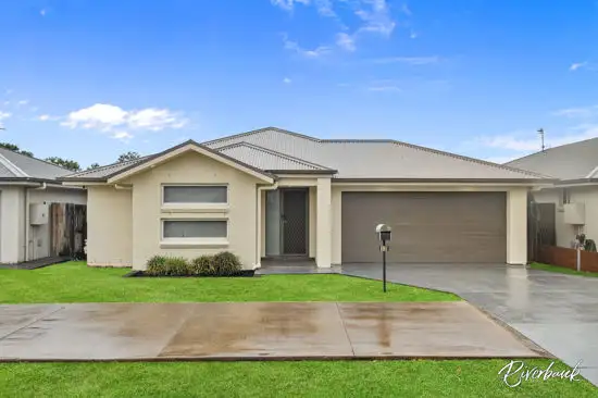 Main view of Homely house listing, 13 Asimus Circuit, Elderslie NSW 2570