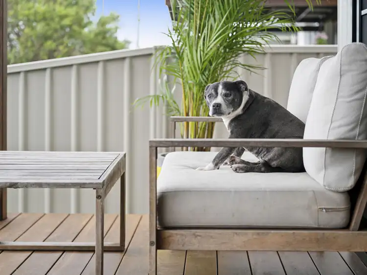 Third view of Homely house listing, 53 Elizabeth Street, Sawtell NSW 2452
