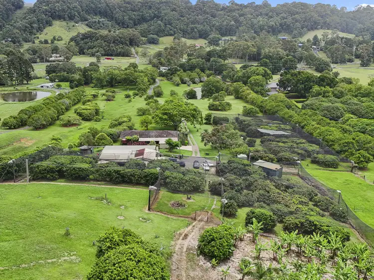169 South Boambee Road, Boambee NSW 2450
