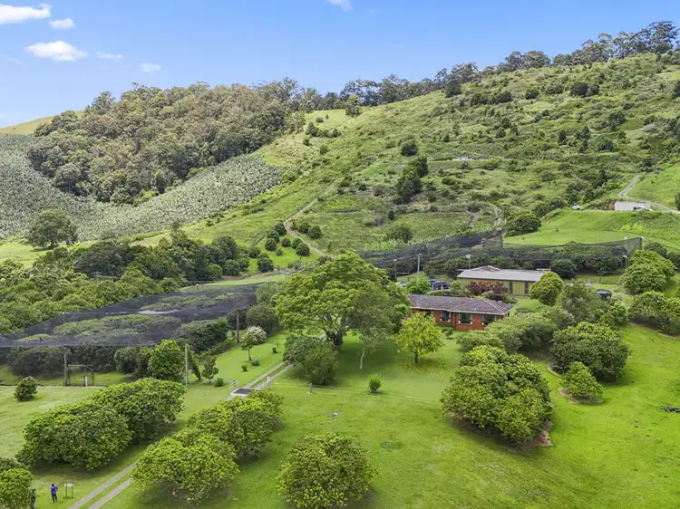 Third view of Homely rural property listing, 169 South Boambee Road, Boambee NSW 2450