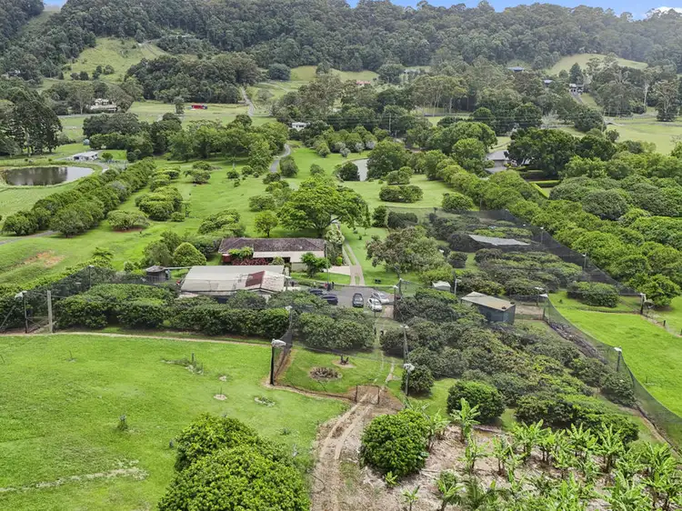 Fourth view of Homely rural property listing, 169 South Boambee Road, Boambee NSW 2450