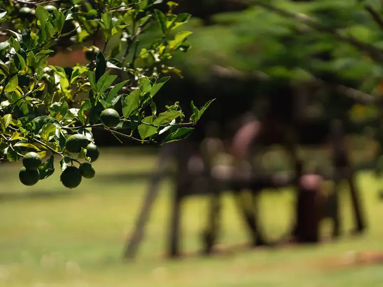 Fifth view of Homely rural property listing, 33 Pade Cres, Newee Creek NSW 2447