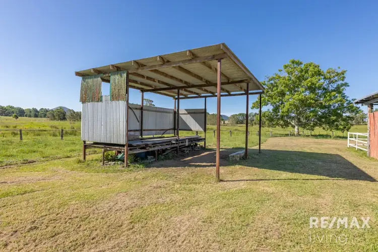 Sixth view of Homely rural property listing, 105 Twin View Road, Elimbah QLD 4516