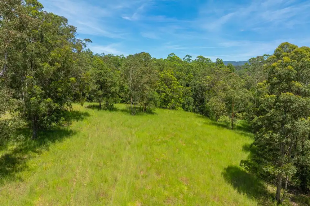 Main view of Homely rural property listing, 384 Eastern Boundary Road, Rollands Plains NSW 2441