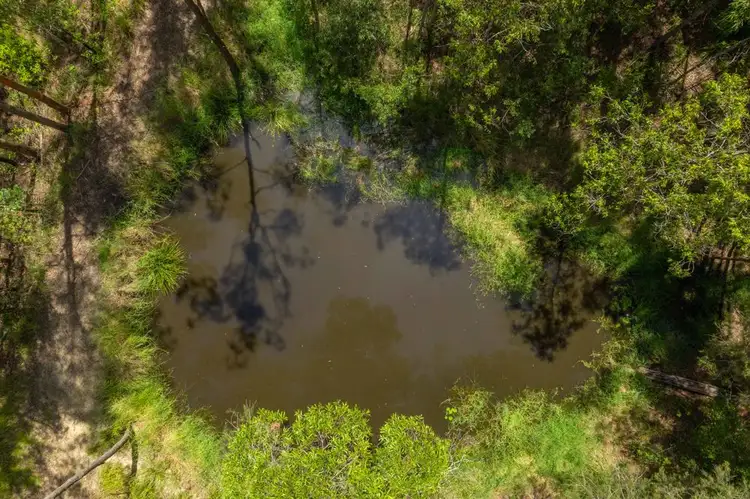 Second view of Homely rural property listing, 384 Eastern Boundary Road, Rollands Plains NSW 2441