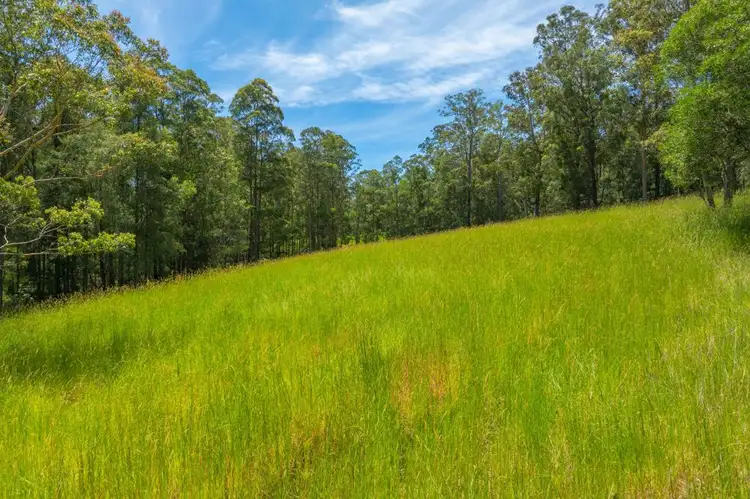 Fifth view of Homely rural property listing, 384 Eastern Boundary Road, Rollands Plains NSW 2441