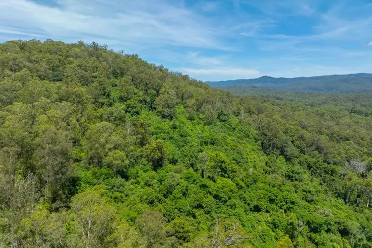 Sixth view of Homely rural property listing, 384 Eastern Boundary Road, Rollands Plains NSW 2441