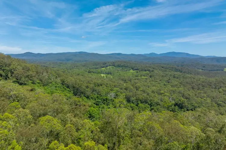 Seventh view of Homely rural property listing, 384 Eastern Boundary Road, Rollands Plains NSW 2441
