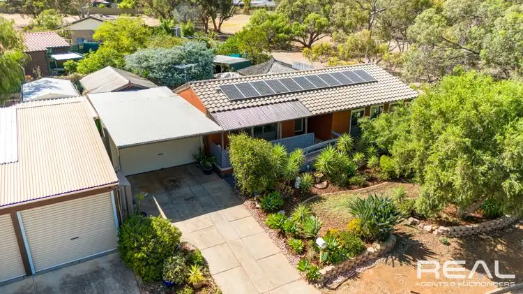 Main view of Homely house listing, 13 Balch Court, Elizabeth East SA 5112