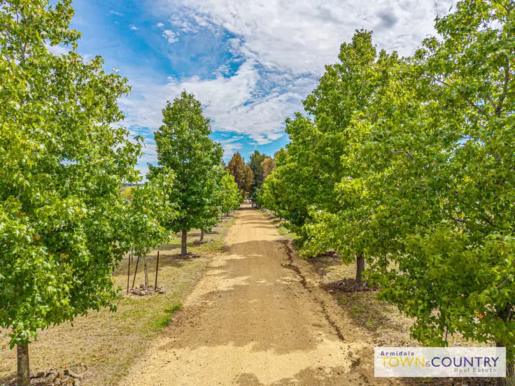 Third view of Homely house listing, 25 Mundays Lane, Armidale NSW 2350