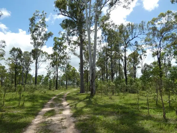 Third view of Homely rural property listing, 277 Bushlands Road, Bororen QLD 4678