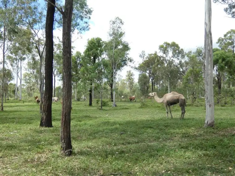 Seventh view of Homely rural property listing, 277 Bushlands Road, Bororen QLD 4678