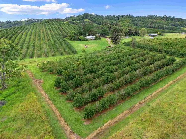 Third view of Homely rural property listing, 235 Kandanga Imbil Rd, Kandanga QLD 4570