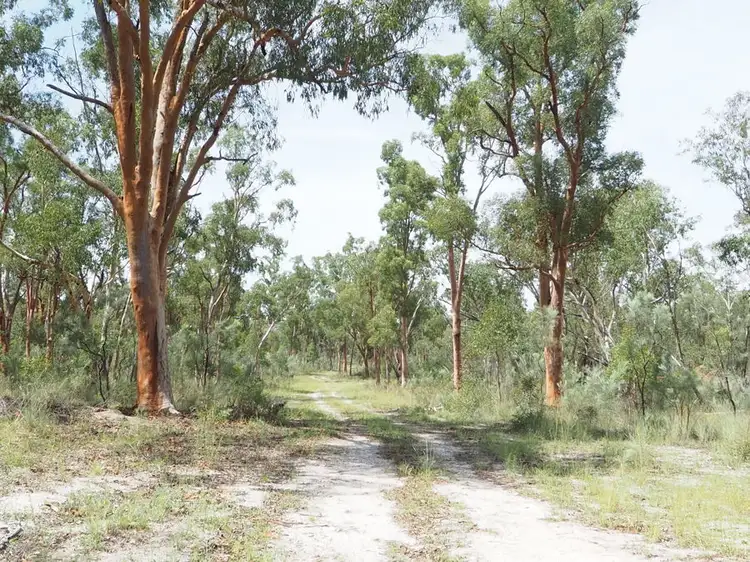 Main view of Homely land listing, Lot 15 Ottley Road, Coolatai NSW 2402