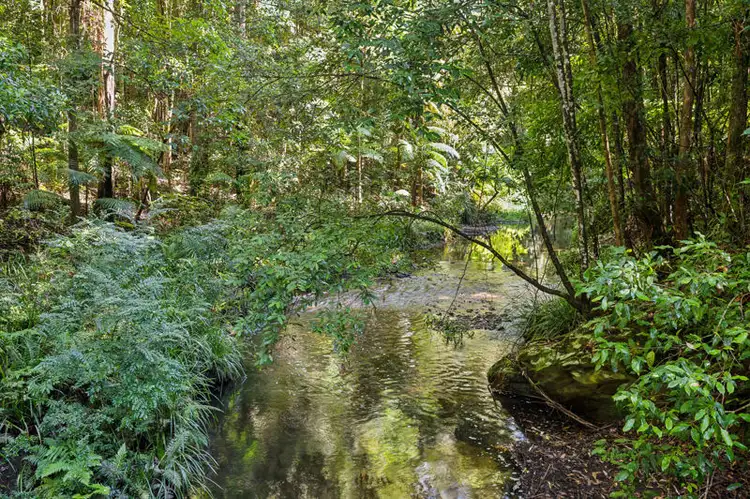 3566 Kalang Road, Kalang NSW 2454
