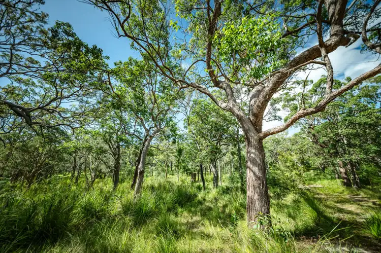 Sixth view of Homely land listing, 12 Wollumbin Drive, Urunga NSW 2455