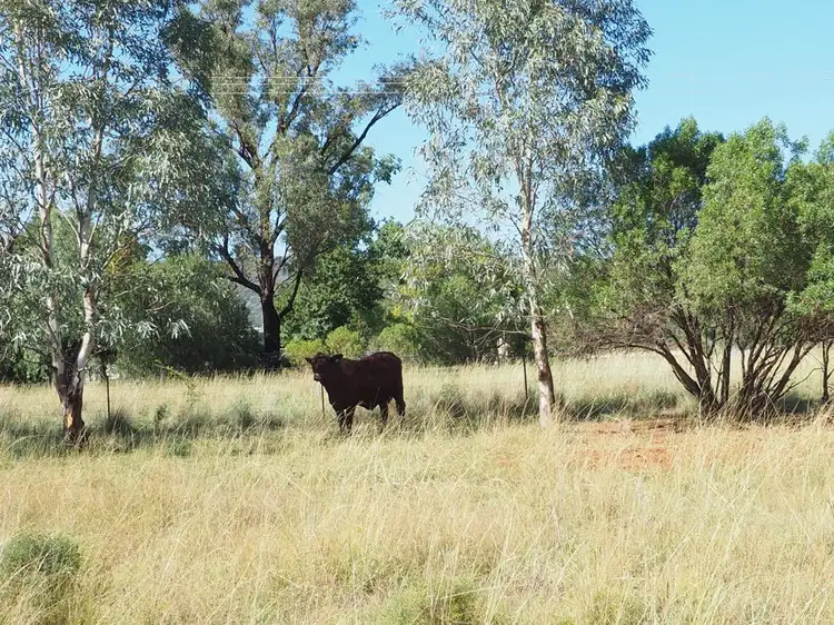 Seventh view of Homely land listing, 4051 Elcombe Road, Bingara NSW 2404