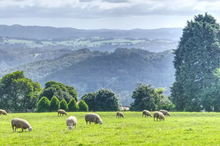 Third view of Homely rural property listing, Address available on request