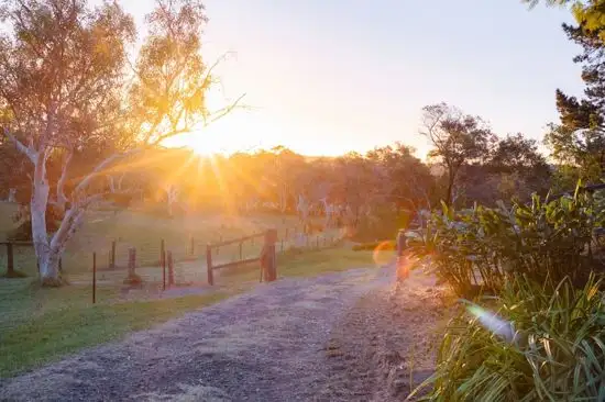 139 George Downes Drive, Central Mangrove NSW 2250