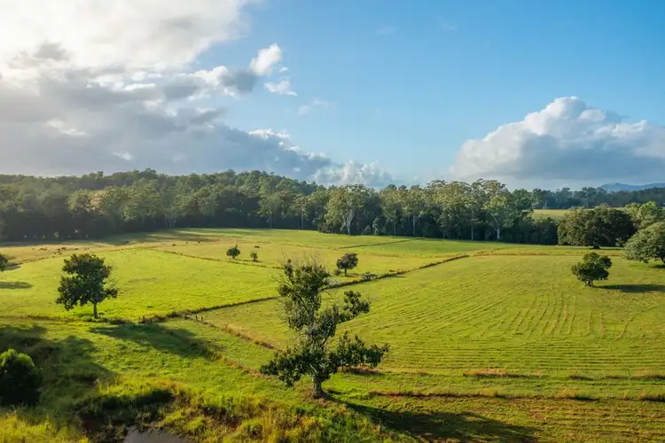 102 Fishers Ridge Rd, Mortons Creek NSW 2446