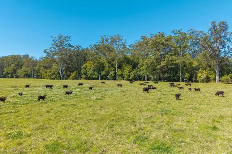 102 Fishers Ridge Rd, Mortons Creek NSW 2446